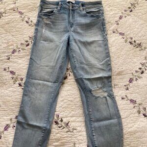 Studio Blue "Kelly" Distress Skinny Jean